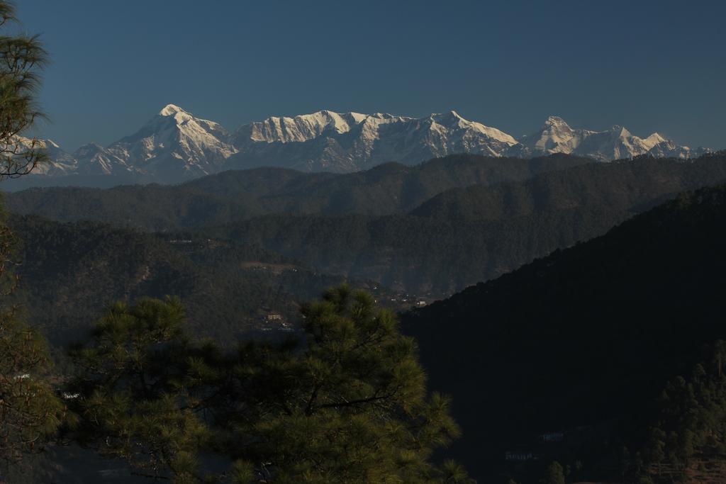 New Dolma Hotel Almora Esterno foto